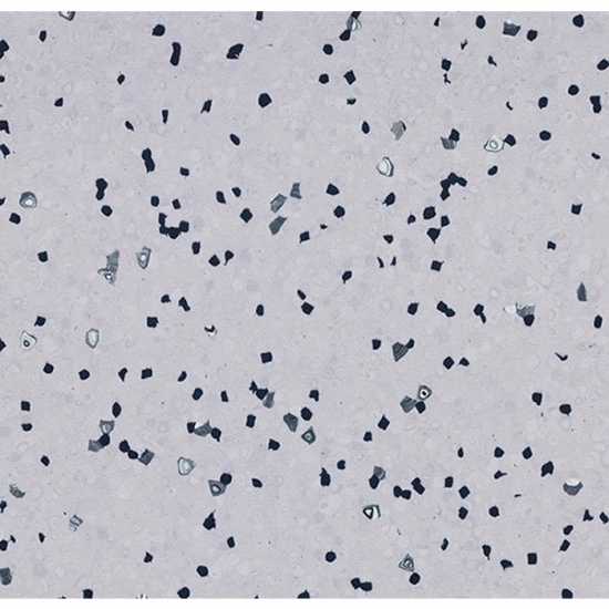 Линолеум Forbo Sphera EC  450032 Soft lilac